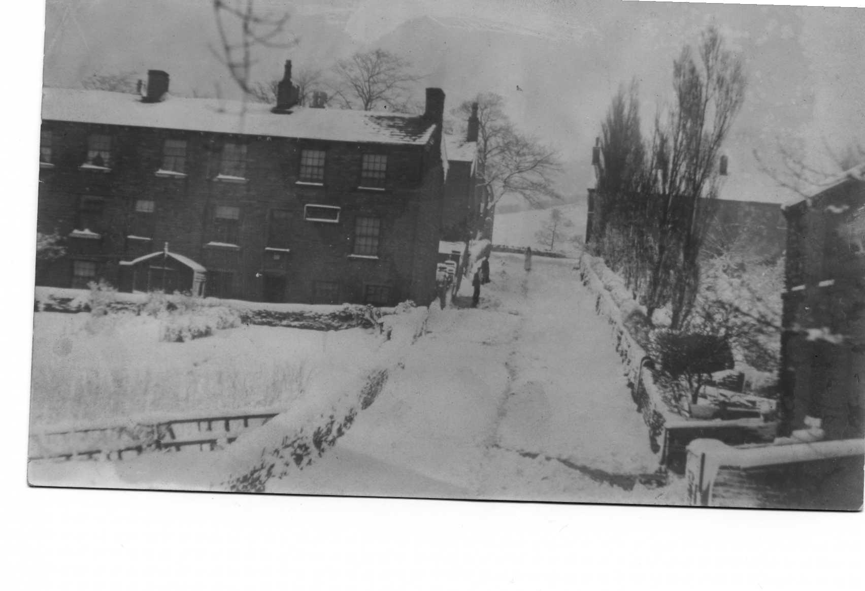 ohouseshill187