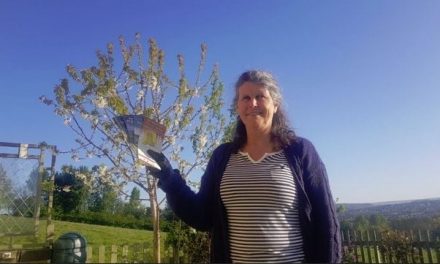 Try these Kirkburton Parish Walks