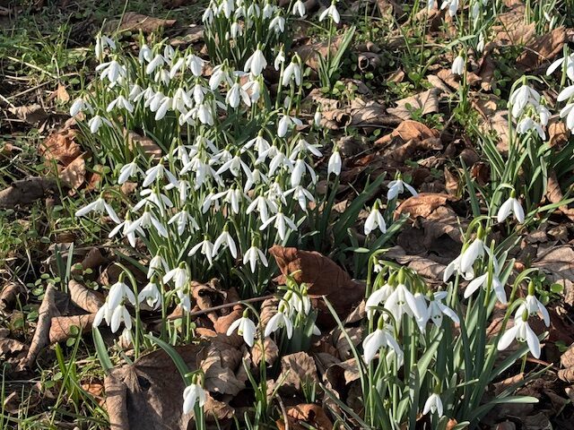 Spring is just round the corner!