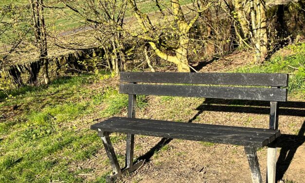 Bench restored in Community Orchard