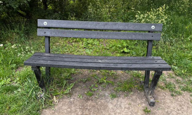 Community Orchard bench now fixed